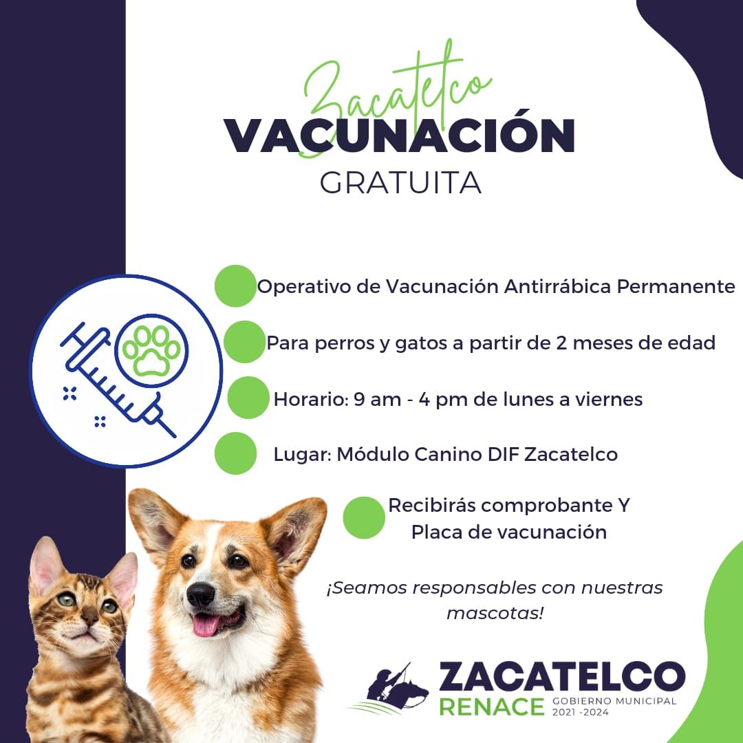 ¡Por una tenencia responsable de mascotas! Zacatelco ofrece vacunación antirrábica gratuita permanente